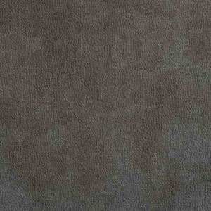 onix10