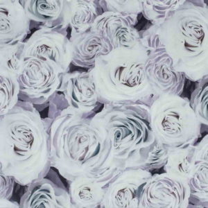 rose03