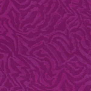 soft491